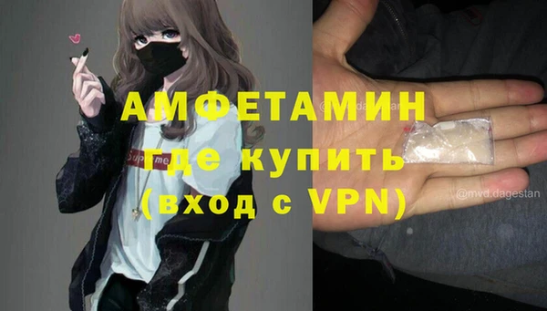 сатива Новодвинск