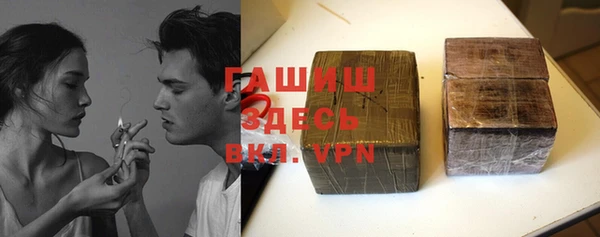 сатива Новодвинск