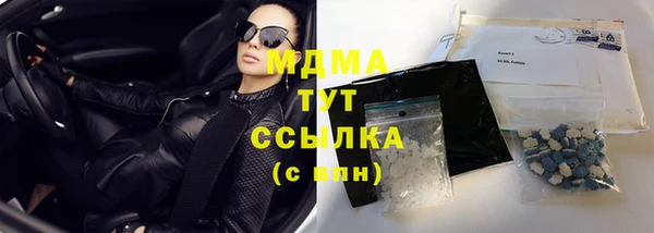 сатива Новодвинск