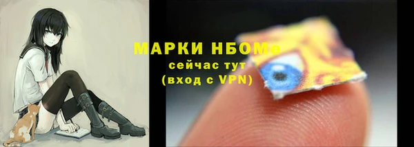сатива Новодвинск