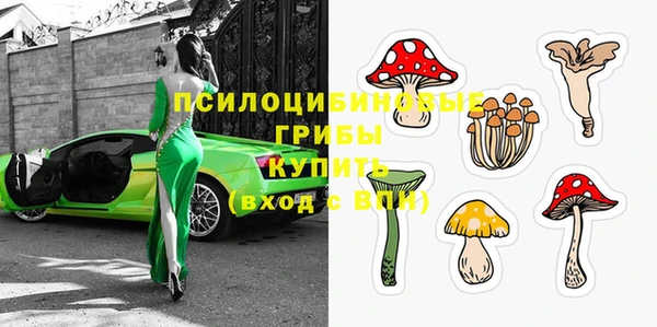 сатива Новодвинск