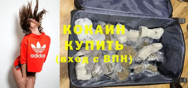 сатива Новодвинск