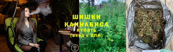 сатива Новодвинск