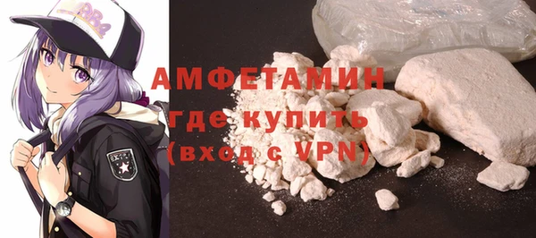 сатива Новодвинск