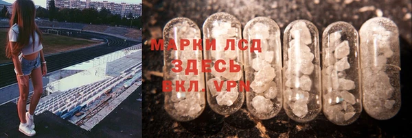 сатива Новодвинск