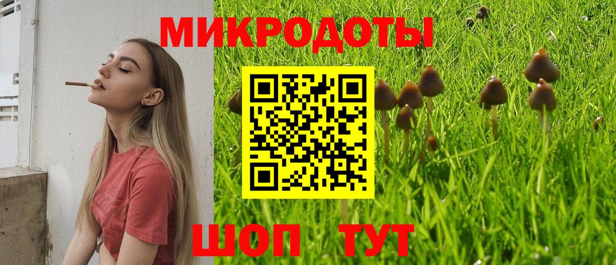 Галлюциногенные грибы Magic Shrooms Старый Оскол